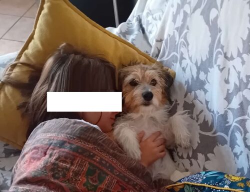 La piccola Memole è stata adottata. Da oggi si chiamerà Cloe