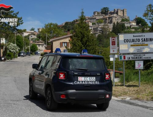 Lascia il proprio cane chiuso per ore nel bagagliaio: denunciato dai carabinieri