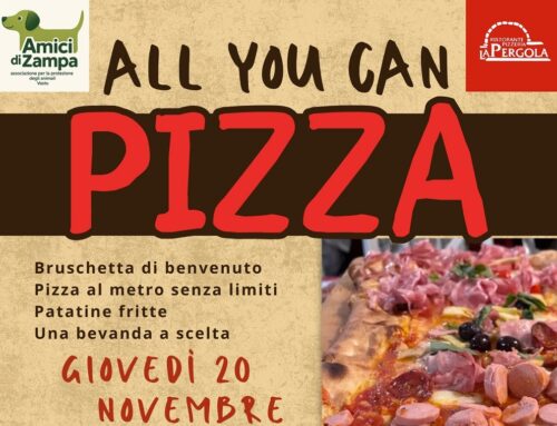 Vena di beneficenza con pizza e patatine per i cagnolini per l’Associazione Amici di Zampa OdV