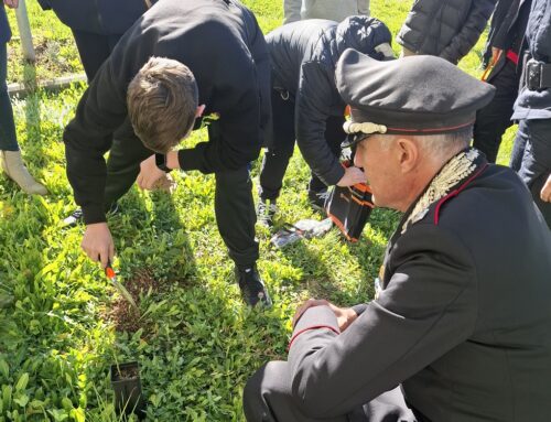 I Carabinieri Forestale celebrano la Giornata Nazionale degli Alberi