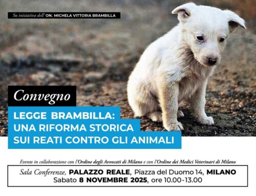 Sabato 8 novembre a Milano il convegno: “Una riforma storica sui reati contro gli animali”