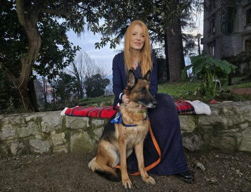 Era stata trascinata fino a farle sanguinare le zampe, ecco il Natale di Bella. Cagnolona salvata dalla LEIDAA