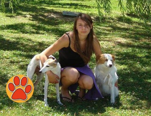 15 anni fa la prematura scomparsa di Silvia Rosati, studentessa in veterinaria ed animalista