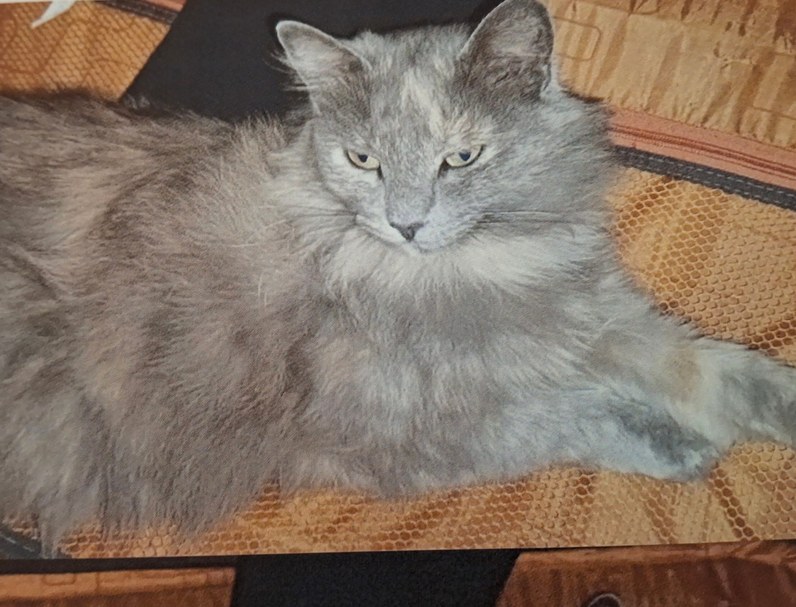 Polish_20251201_183627700