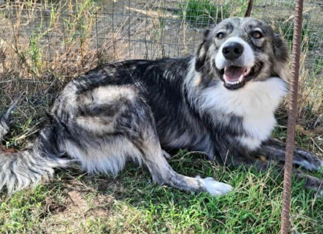 Polish_20251202_151437141