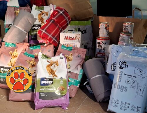 Regalo di Natale della Cooperativa Levante a cani e gatti senza famiglia