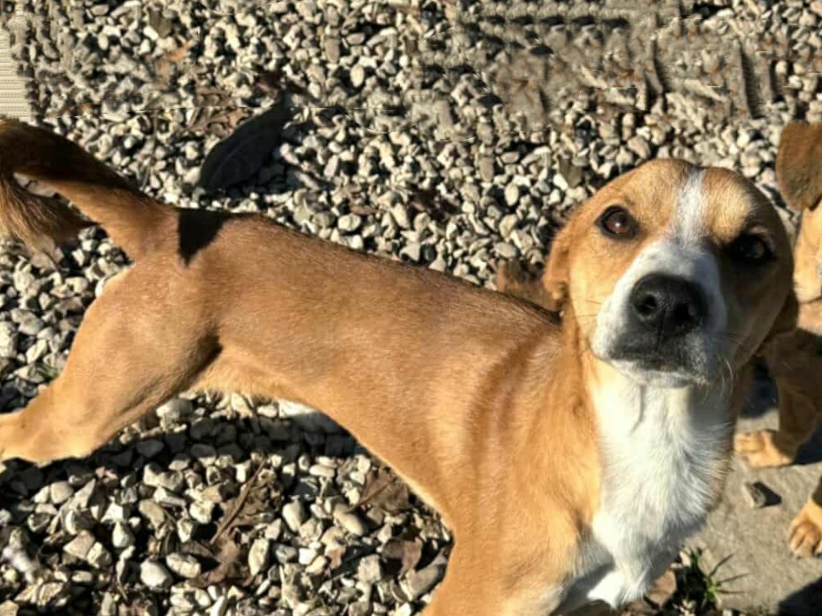 Polish_20251204_131330355