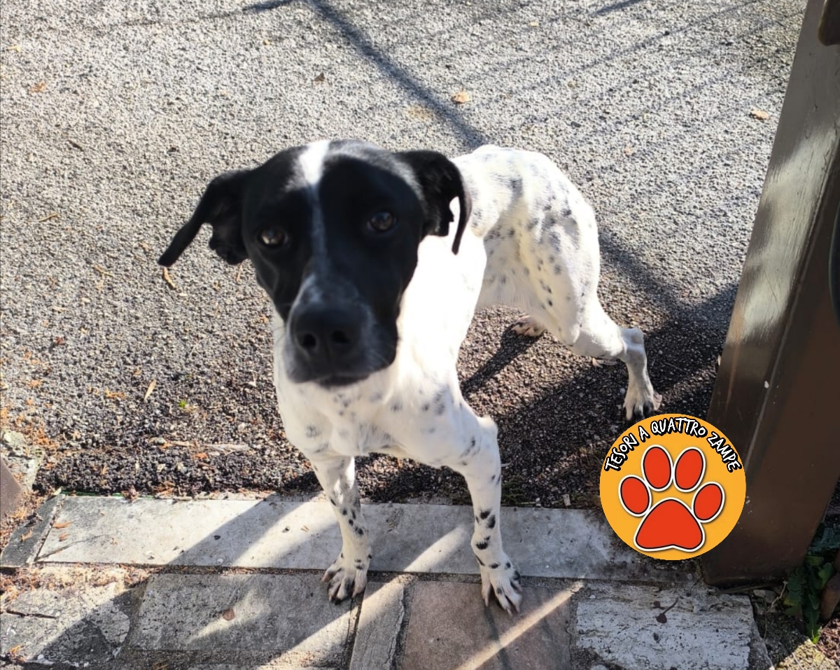 Polish_20251206_122200536