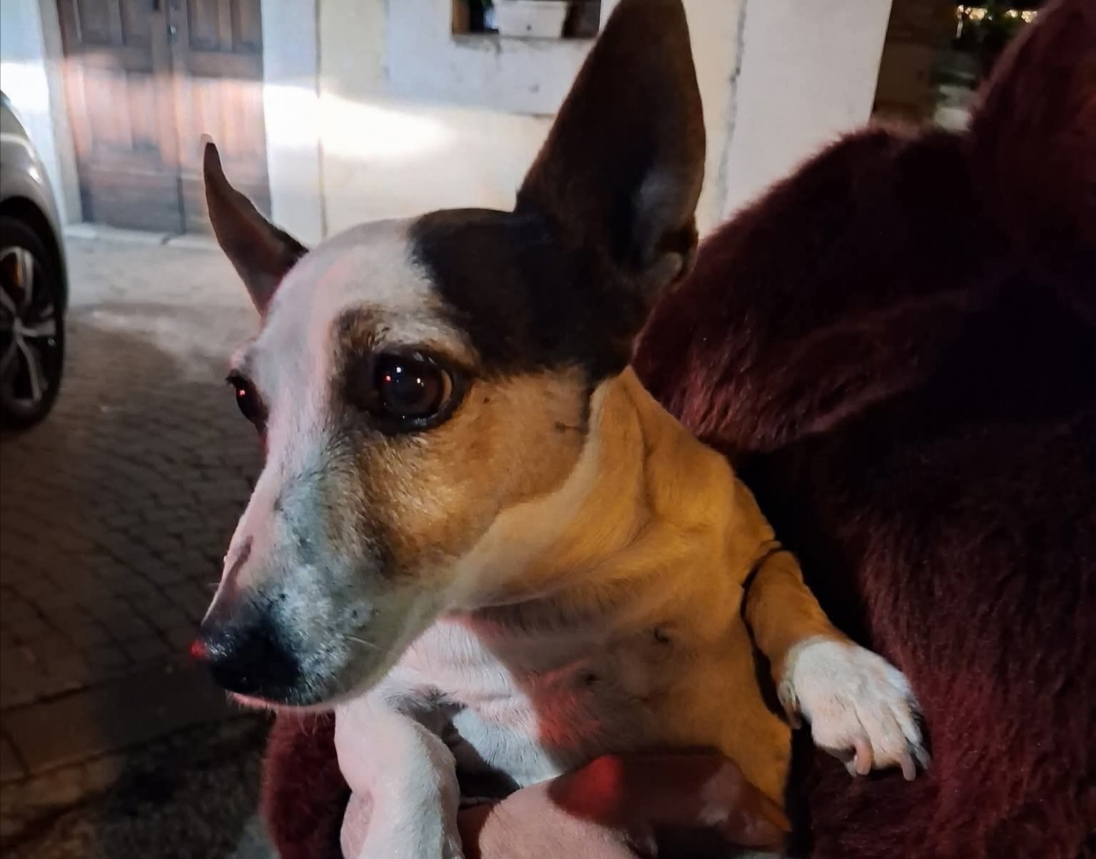 Polish_20251207_213806483