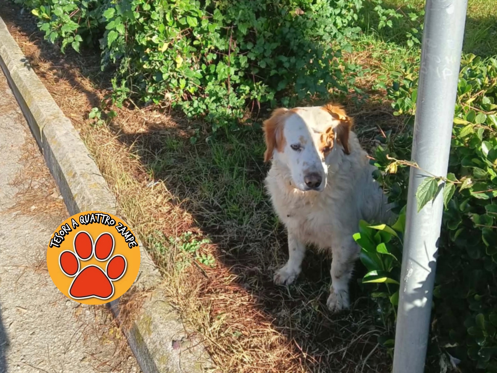 Polish_20251208_152742143