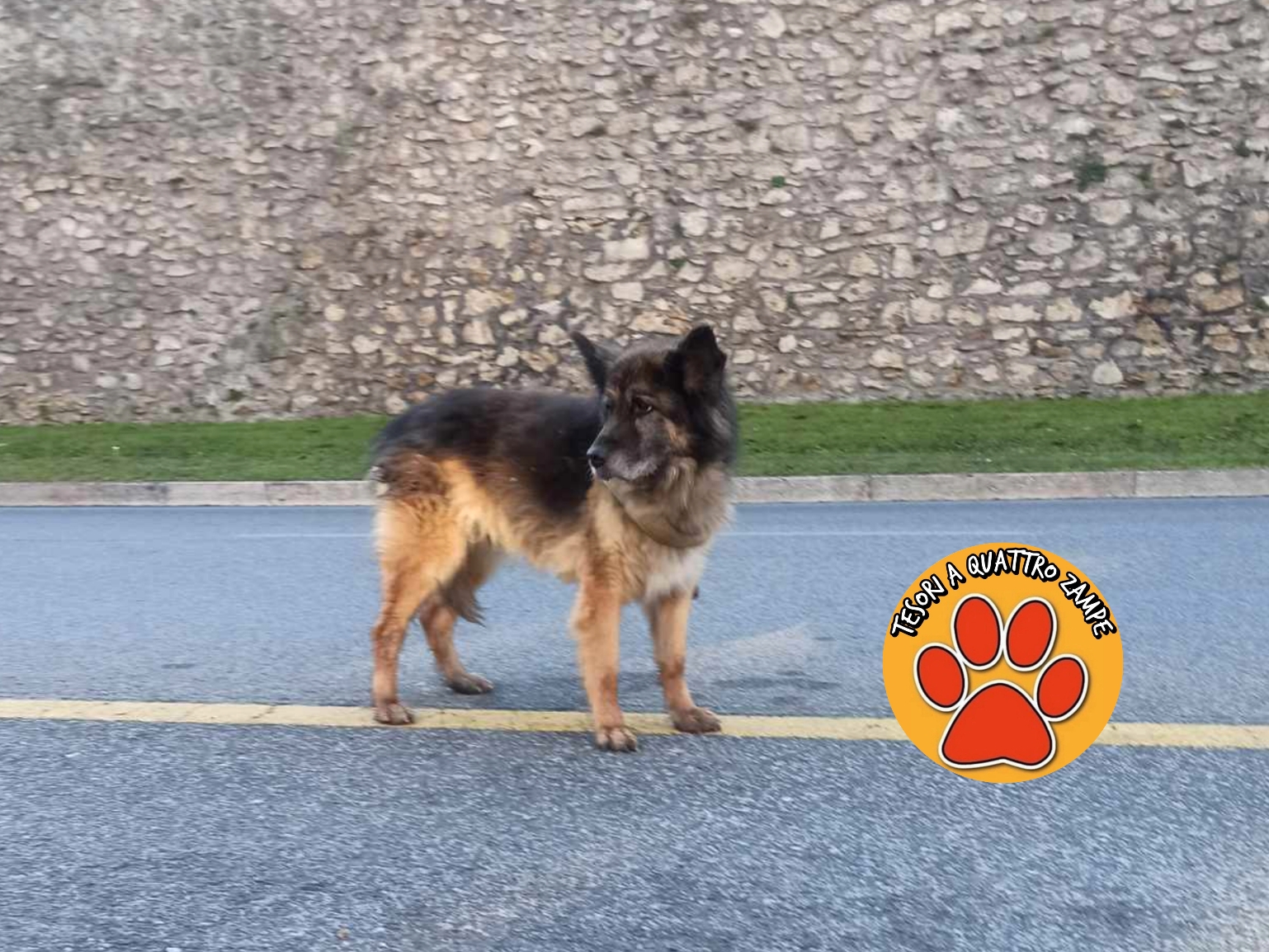 Polish_20251209_092453915