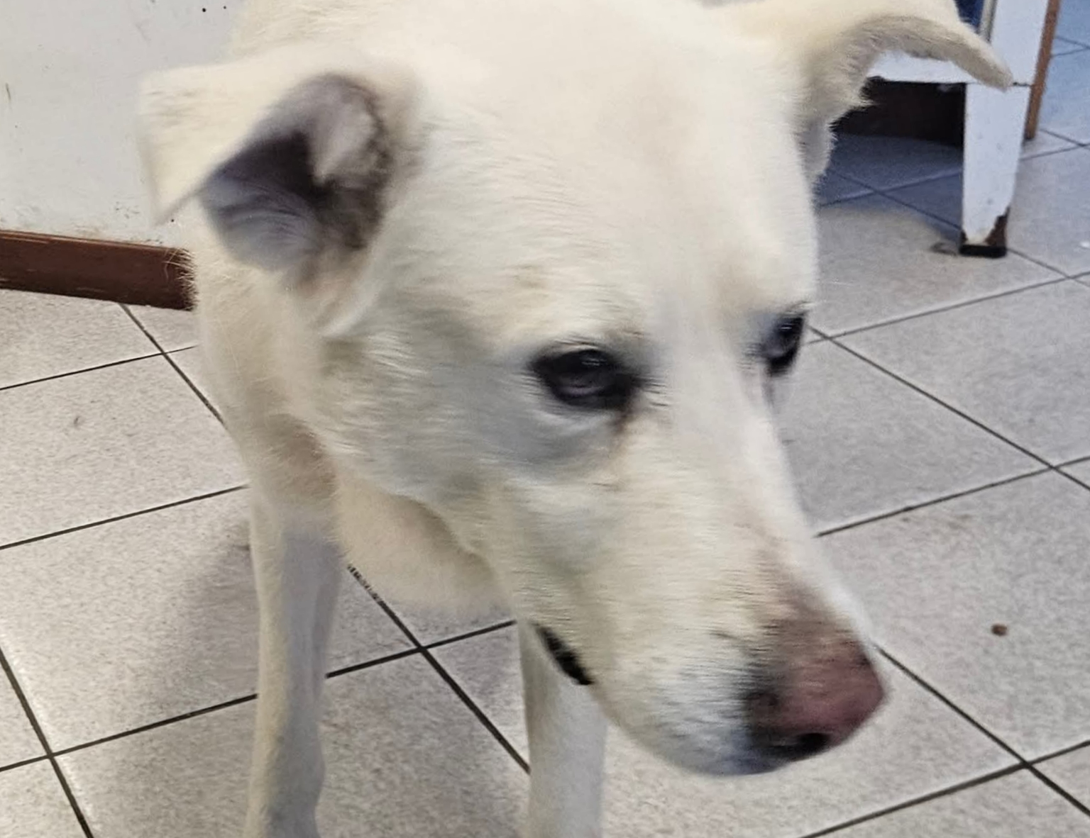 Polish_20251209_120432128