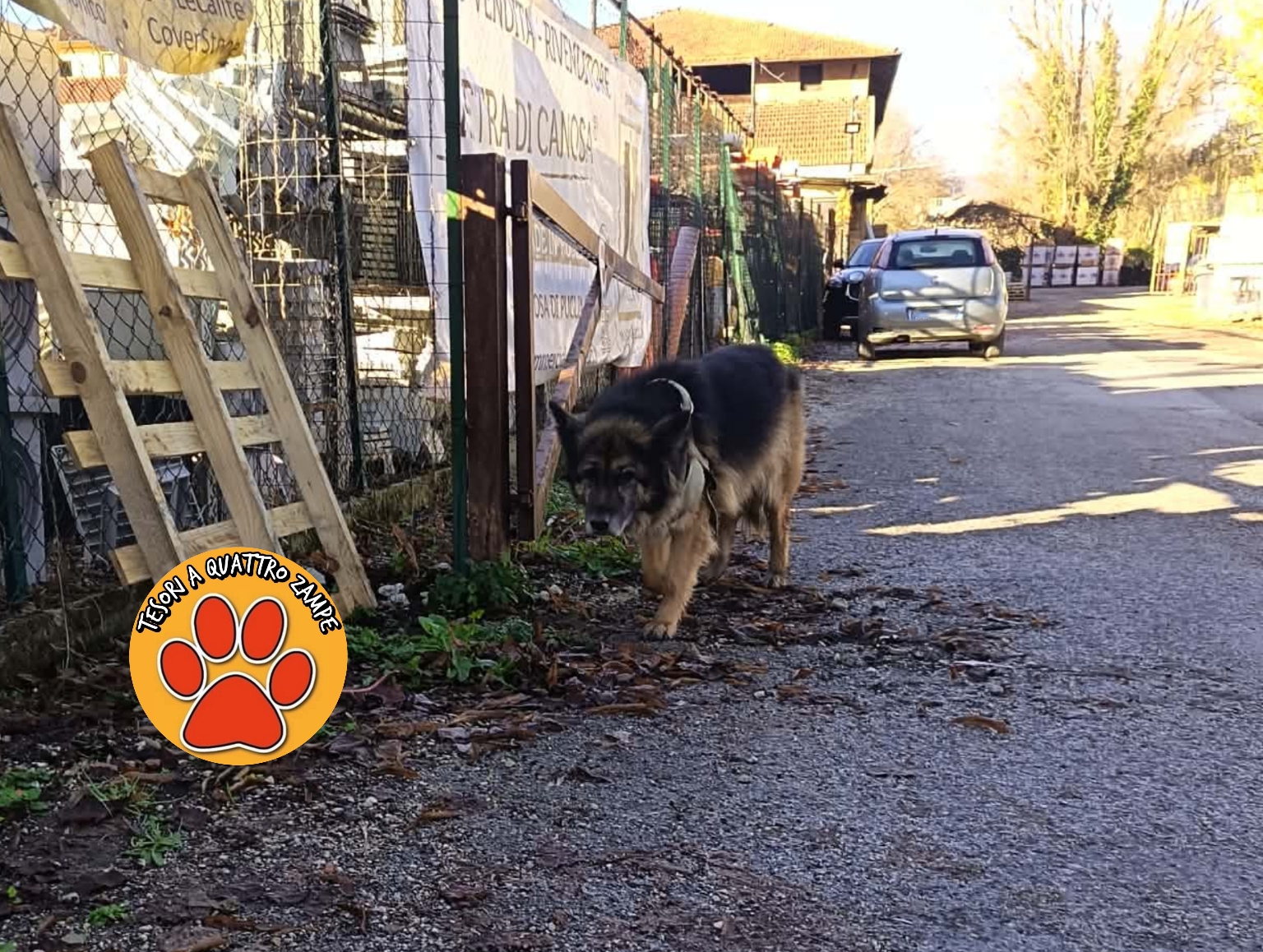 Polish_20251209_122917127