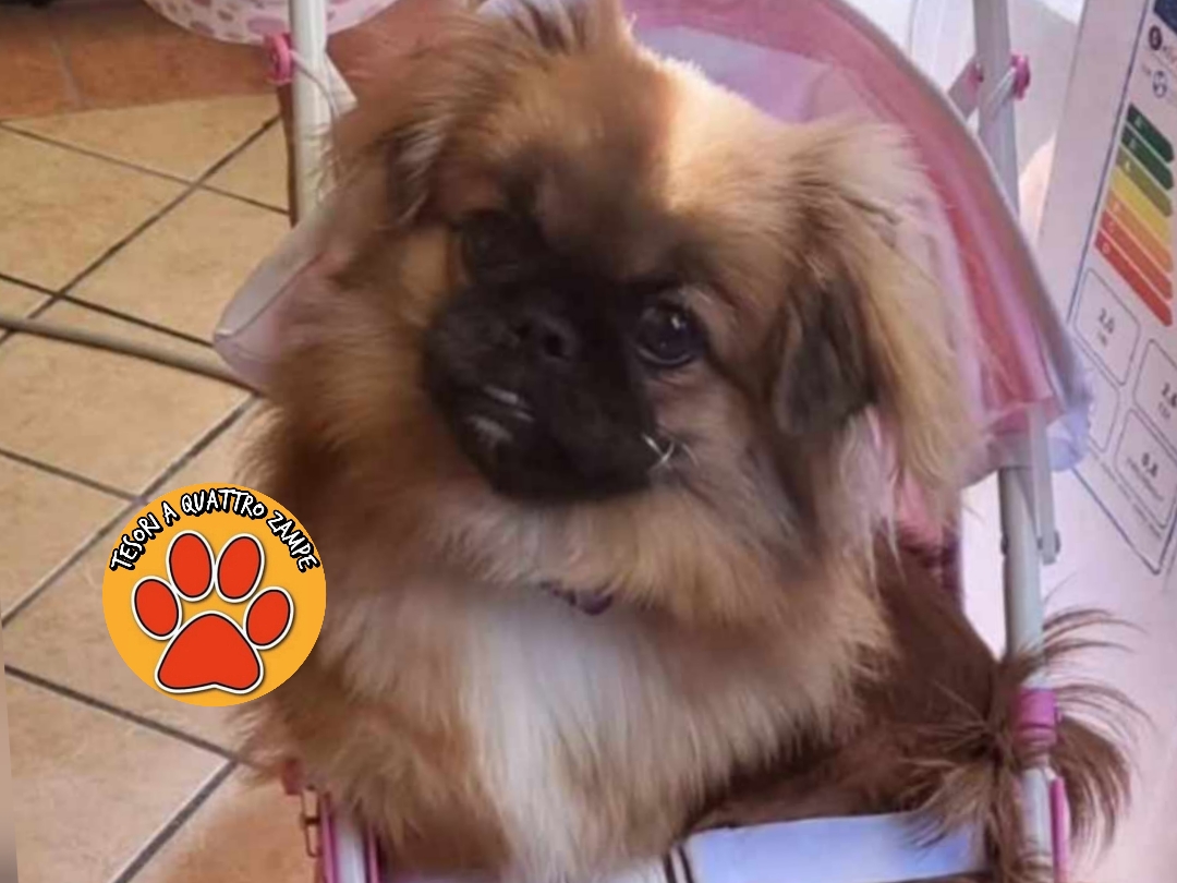 Polish_20251209_200929229