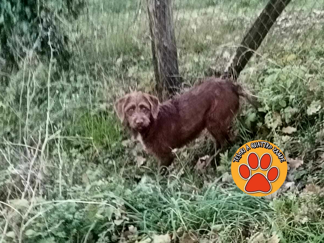 Polish_20251211_121835274