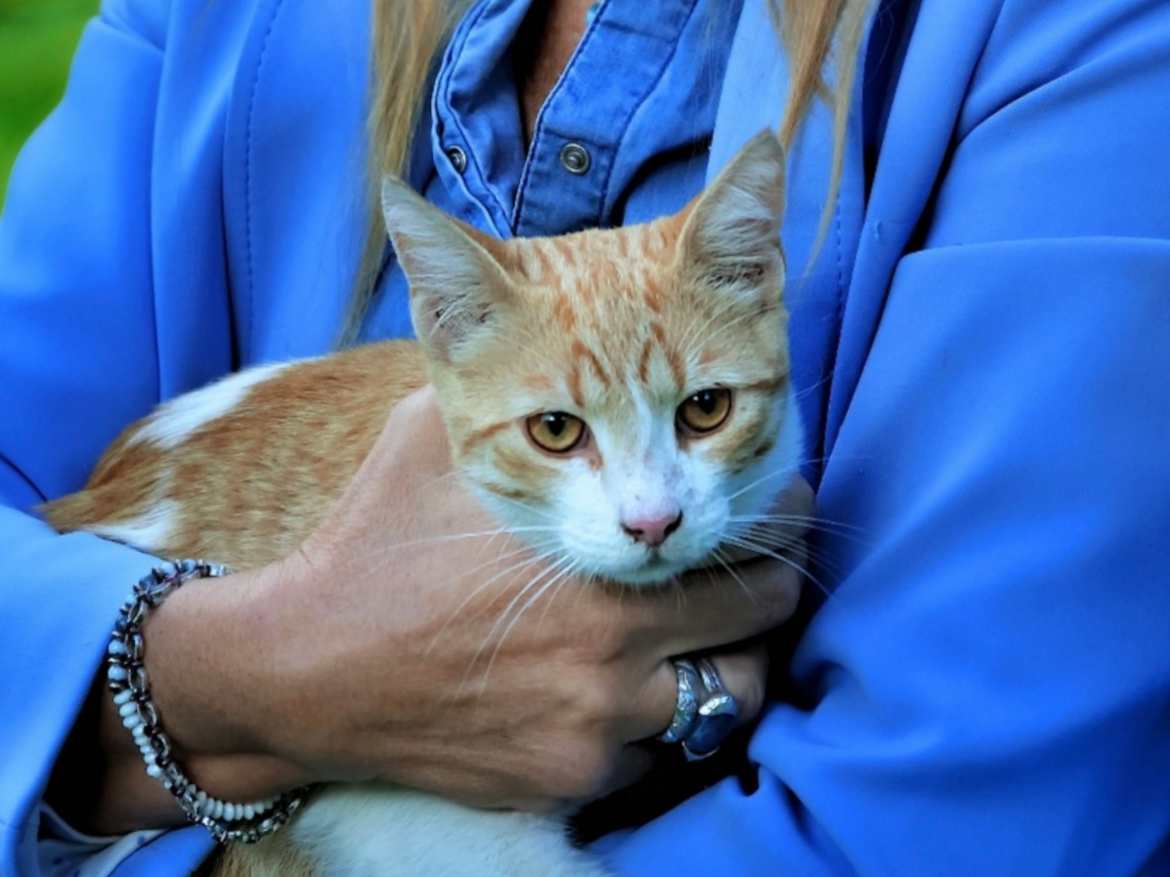 Polish_20251214_013229072