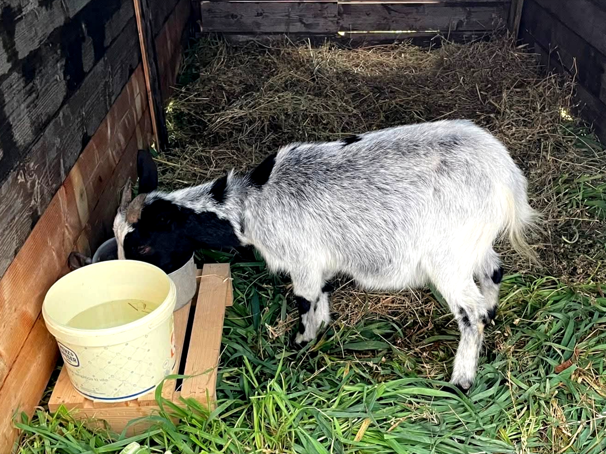 Polish_20251215_005012374