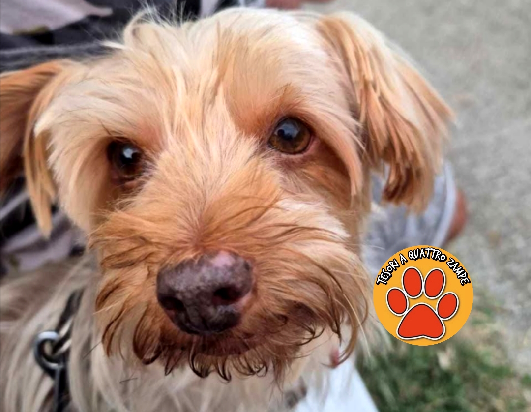 Polish_20251220_101035411