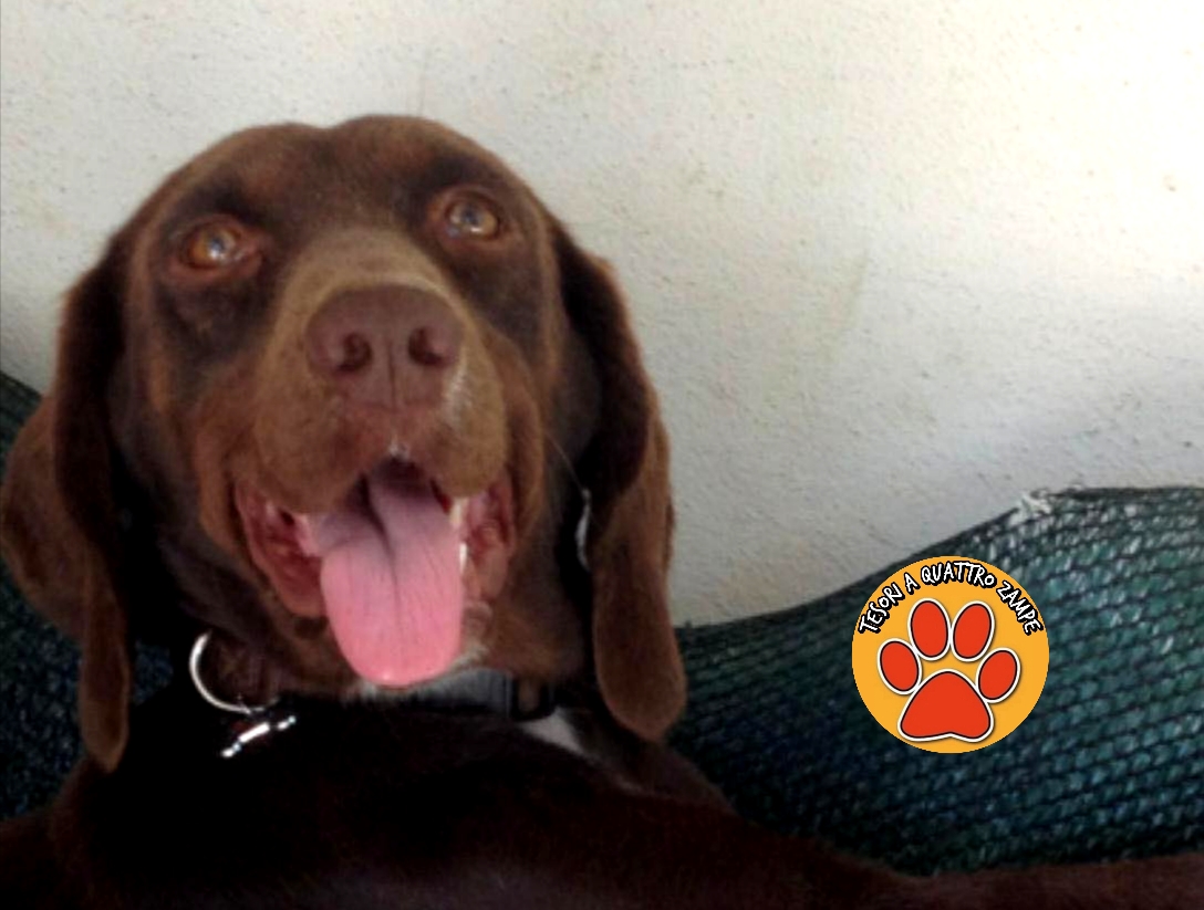 Polish_20251224_142515612