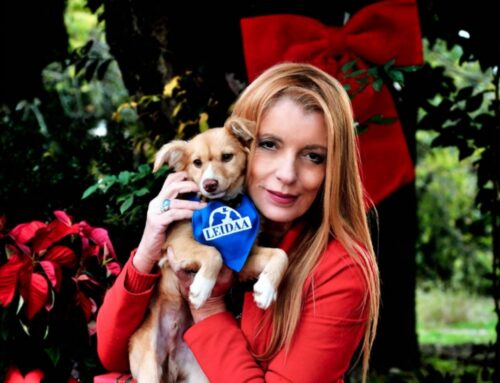 CRAS Stella del Nord, un anno di salvataggi. Su Rete4 gli amici a quattro zampe dei VIP