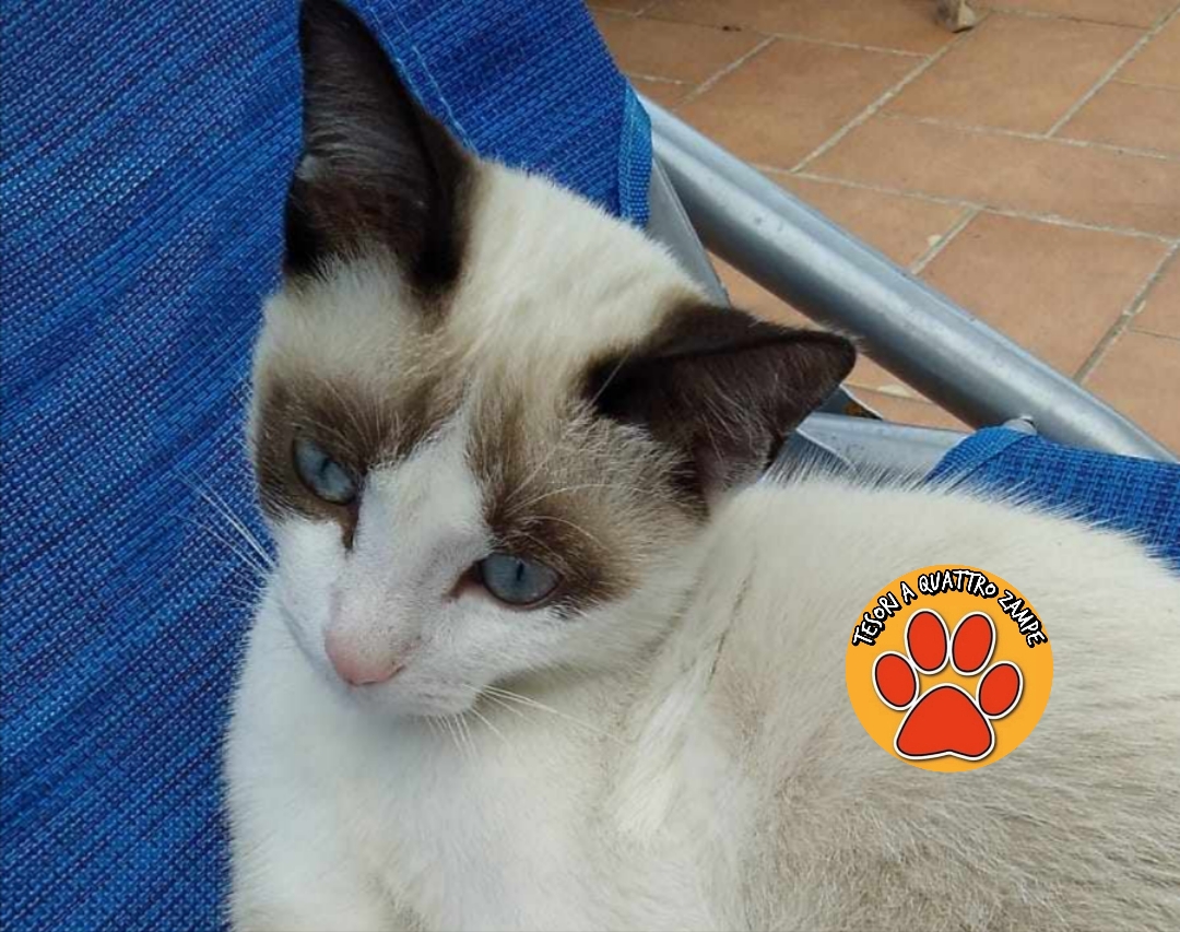 Polish_20251230_171311606