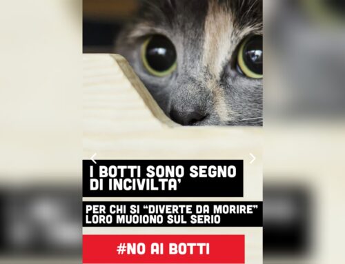 Artisti uniti contro “Li botti der Cenone”