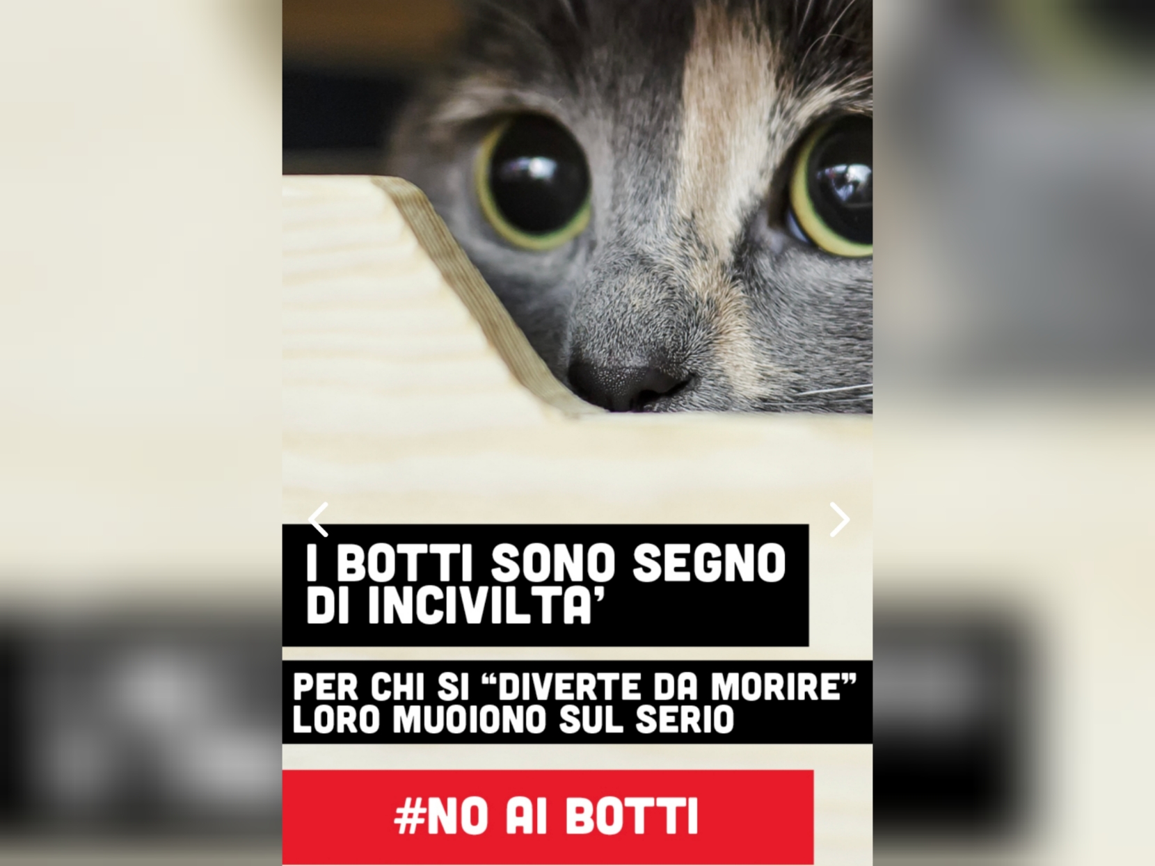 Polish_20251231_084201601