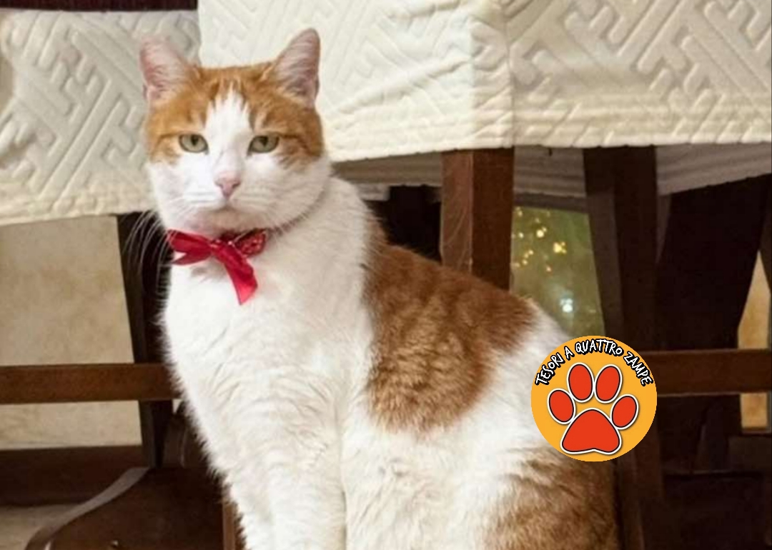 Polish_20251231_214247114