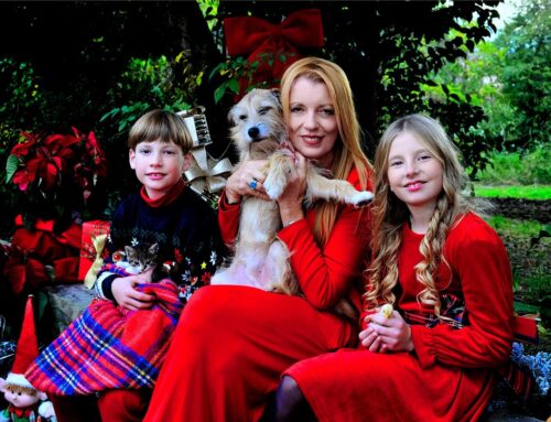 Un Natale dalla parte degli animali: Un anno di battaglie della LEIDAA