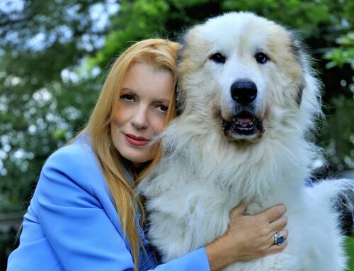 Gemma, abbandonata sanguinante sotto un’auto