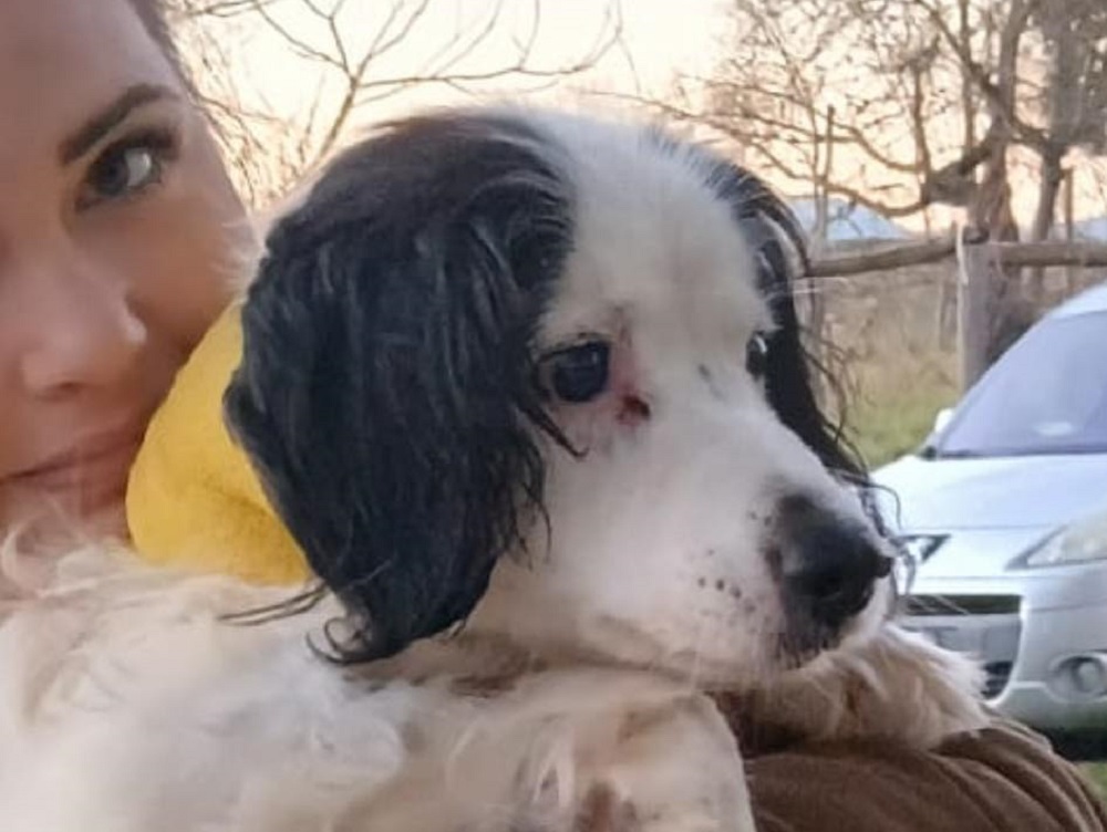 cane_rivodutri_billy_karolina