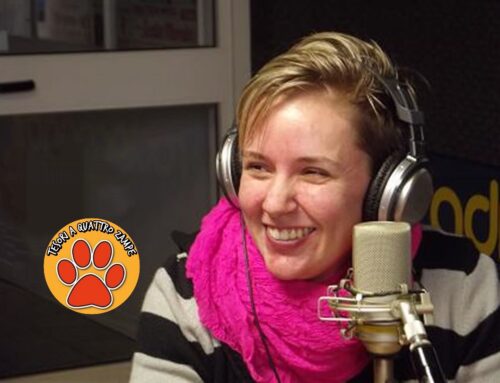 Domenica 21 dicembre con la dott.ssa Boncompagni appuntamento gratuito su come affrontare i botti di fine con il proprio animale