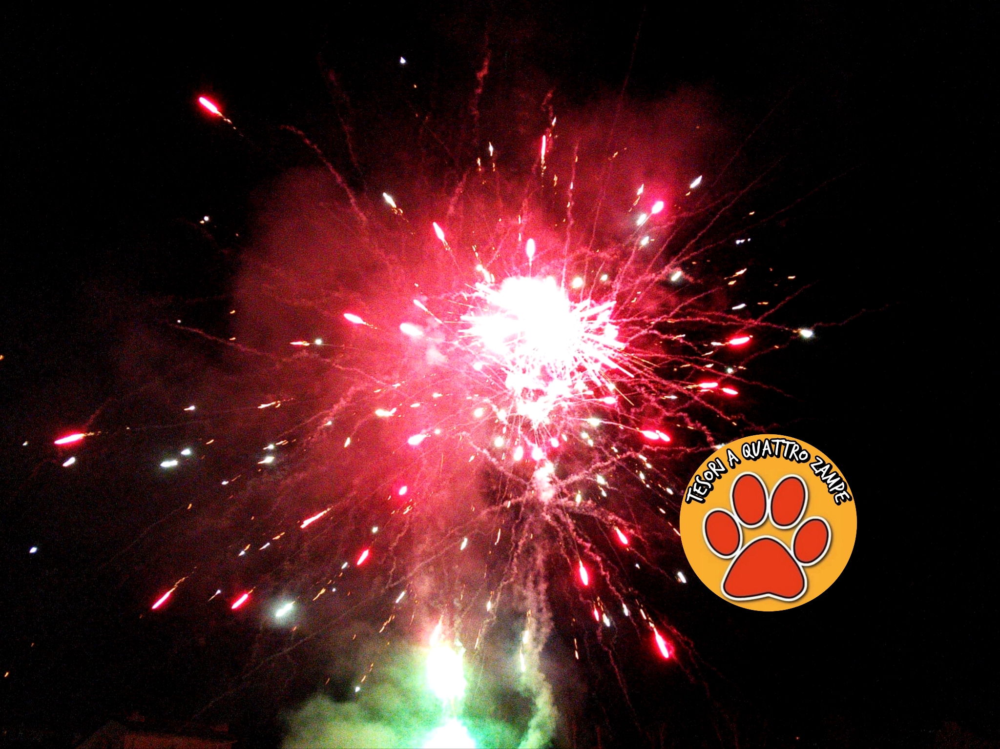 fuochi_artificio_nuova_capodanno_2025