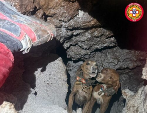 Gaeta, il CNSAS Lazio soccorre e salva due cani Segugi
