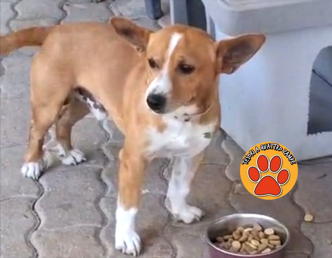 Polish_20260101_122528154