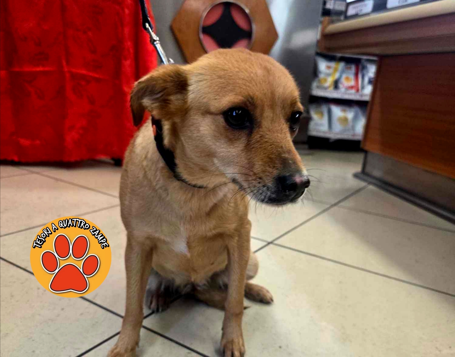 Polish_20260102_213011170