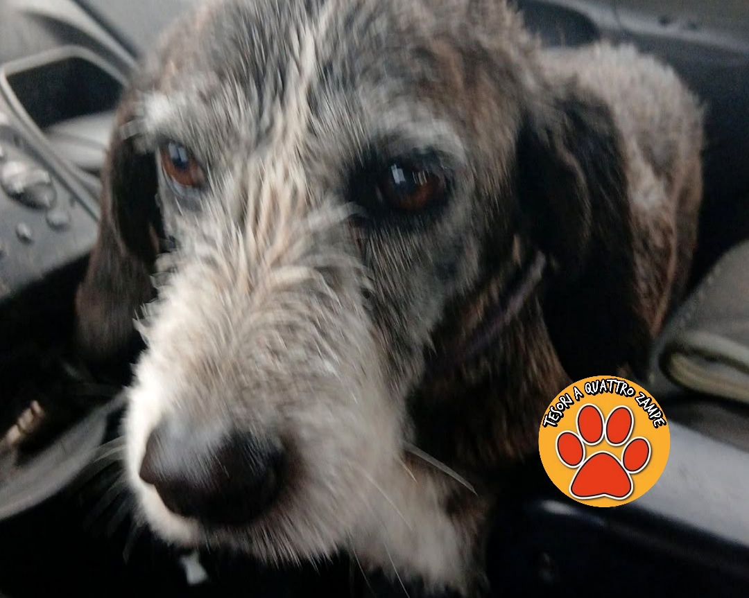 Polish_20260105_141530378