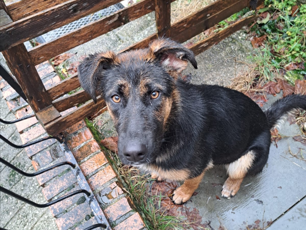 Polish_20260106_131114188