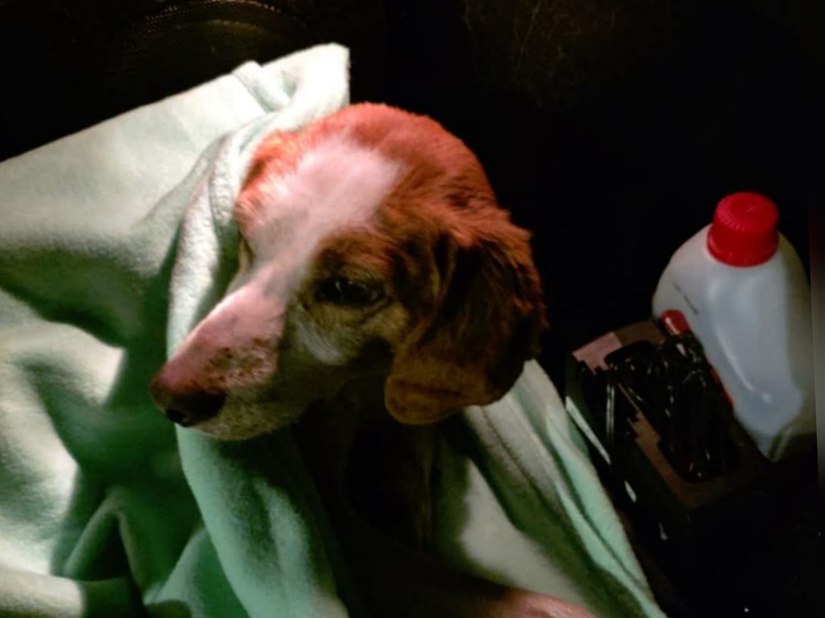 Polish_20260107_000740838