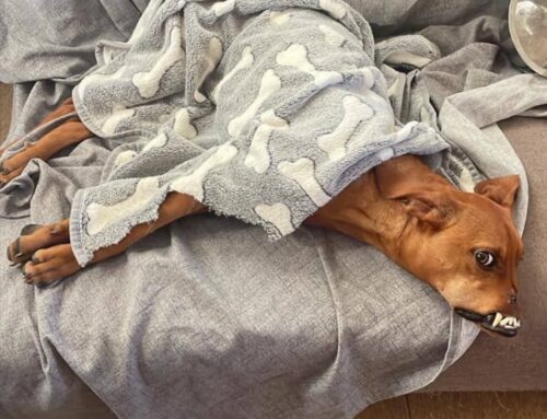 Operazione Gin, cifra raggiunta per l’operazione