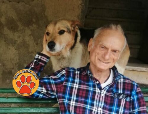 Addio Bruno, volontario del Santuario La Foresta con cani e gatti nel cuore