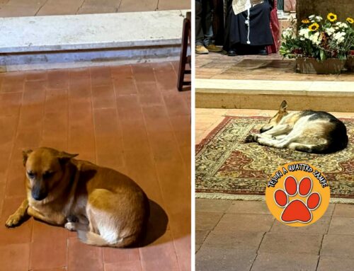 Ai funerali del volontario Bruno anche i suoi adorati cani