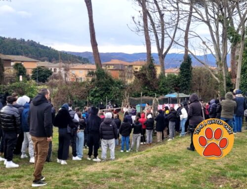 Sant’Antonio Abate tra i banchi e la natura: studenti e animali protagonisti a Rieti