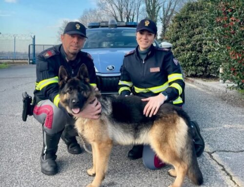 Naomi e Alessandro della Polizia di Stato salvano Kora vagante in autostrada