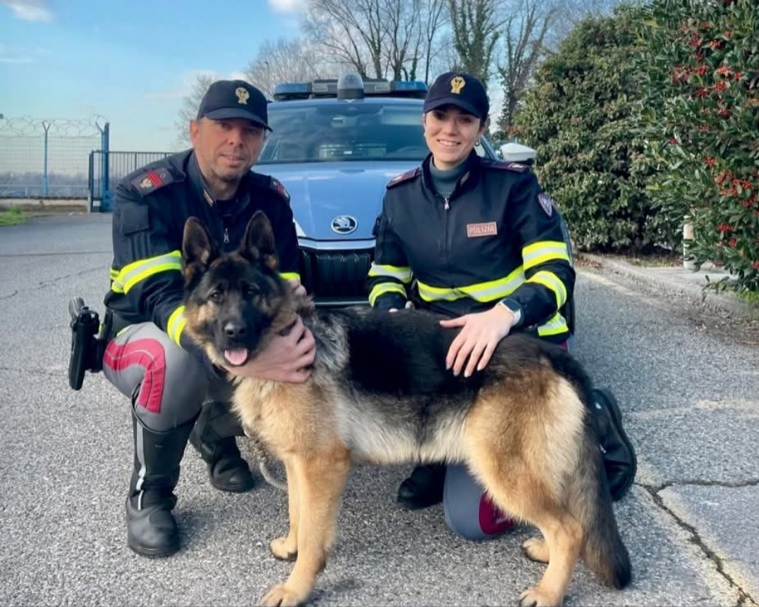 Polish_20260122_114118272