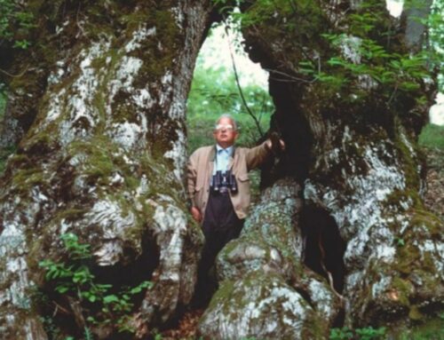 Recuperata e pubblicata l’opera postuma dell’ornitologo reatino Di Carlo