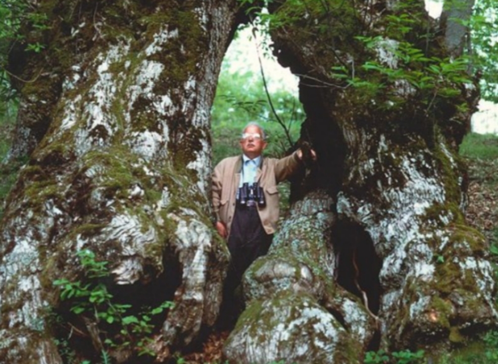 Polish_20260127_094914676