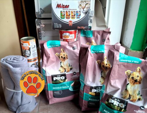 Tesori a quattro zampe consegna 9.5 chili di cibo per cani e gatti alla volontaria Maria donati dalla Cooperativa Levante