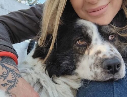 Tullio, 26 chili di dolcezza: sarai tu la sua nuova famiglia?