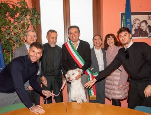 A Stimigliano il matrimonio lo celebra Nala: da randagia a protagonista delle nozze di Alberto e Tiziana